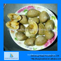 fresh frozen surf clam seafood